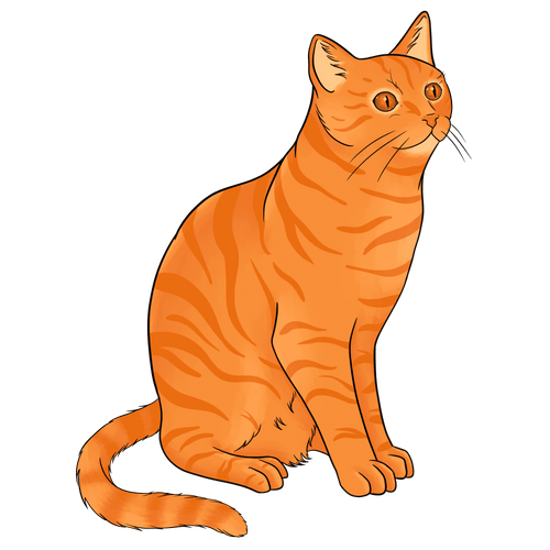 Katzenverben & die rennende Katze